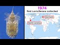 Loricifera: Characteristics and Discovery