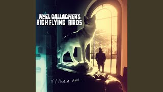 Video thumbnail of "Noel Gallagher - I'd Pick You Every Time"