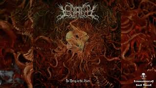 Lobstrosity - Struggler