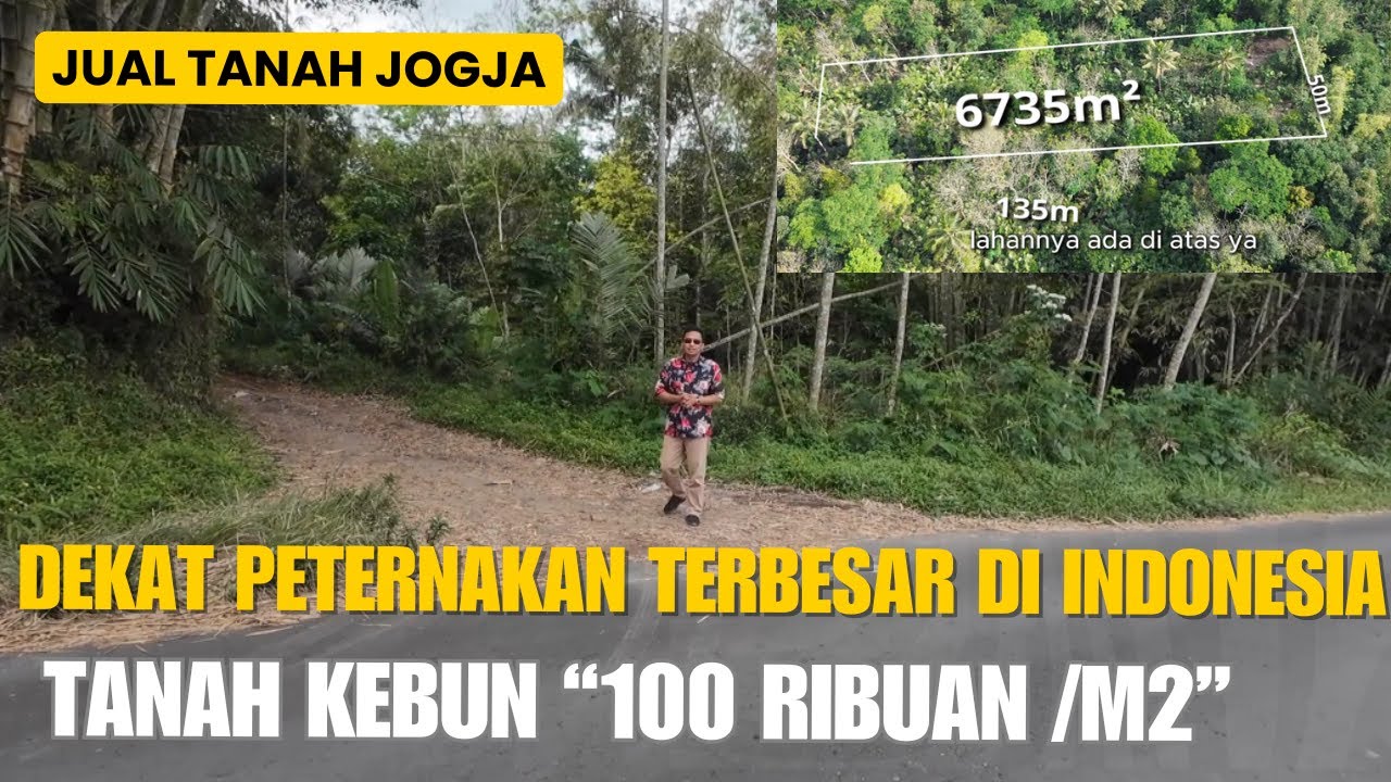 EPS 485 TURUN HARGA 125 RIBU/M2 COCOK UNTUK PETERNAKAN & PERKEBUNAN DEKAT FASUM JUAL TANAH JOGJA