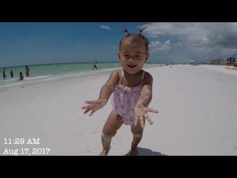 We Found Dolphins! (Vlog #532)