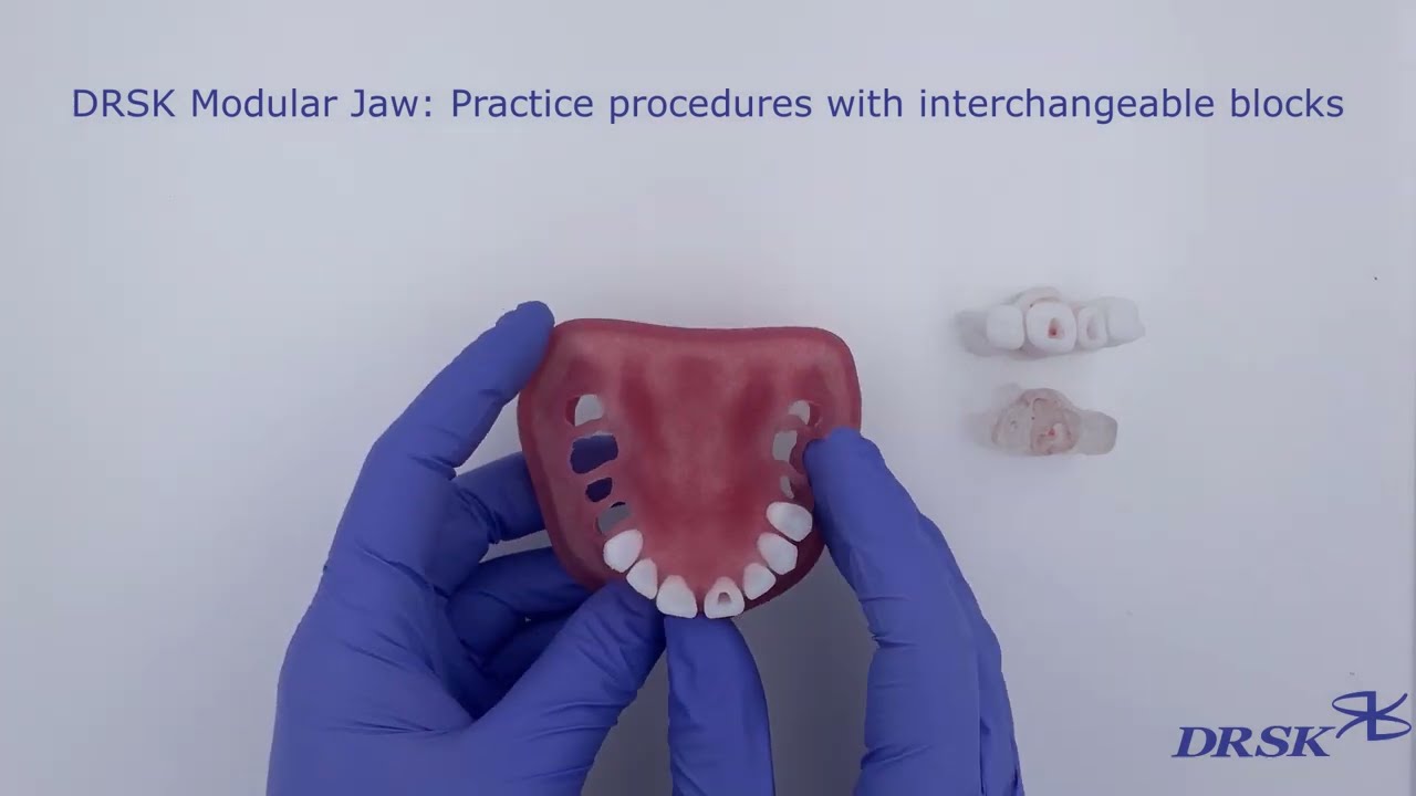 DRSK Modular Jaw model