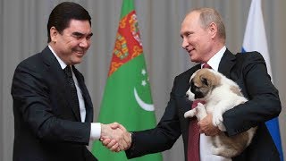 Dog lover Putin given premium-breed puppy as gift by Turkmen president