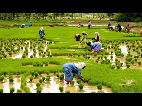 Wideo: Fotoreportaż: Dulal Village, Nepal - Matador Network