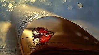🎸Легендарная музыка Стинга о хрупкости жизни. Sting-Fragile