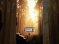 Discover the whispers of nature. #ElephantWisdom #NatureSpeaks