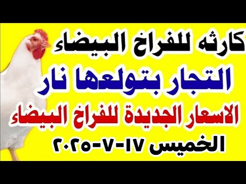 اسعار الفراخ البيضاء اليوم سعر الفراخ البيضاء اليوم الخميس ١٧ ٧ ٢٠٢٥ في مصر اسعار الفراخ اليوم