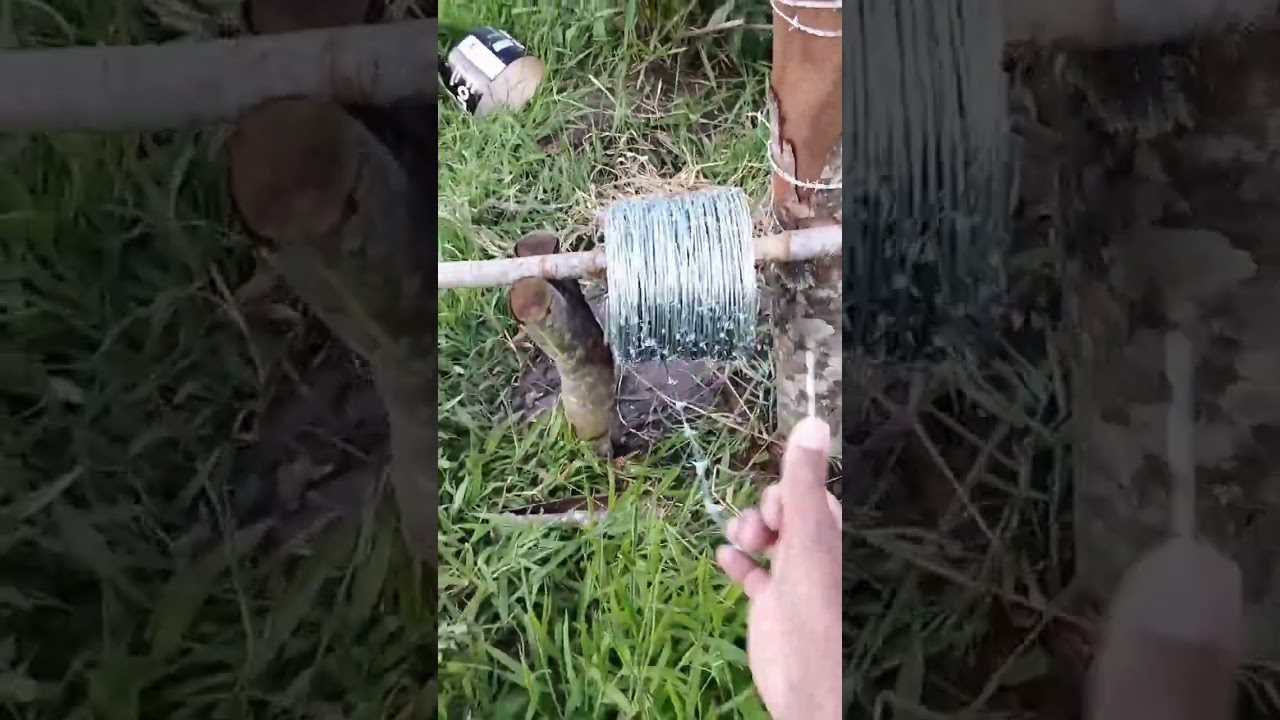 COMO DESENROLAR ARAME FARPADO BEM FÁCIL!!