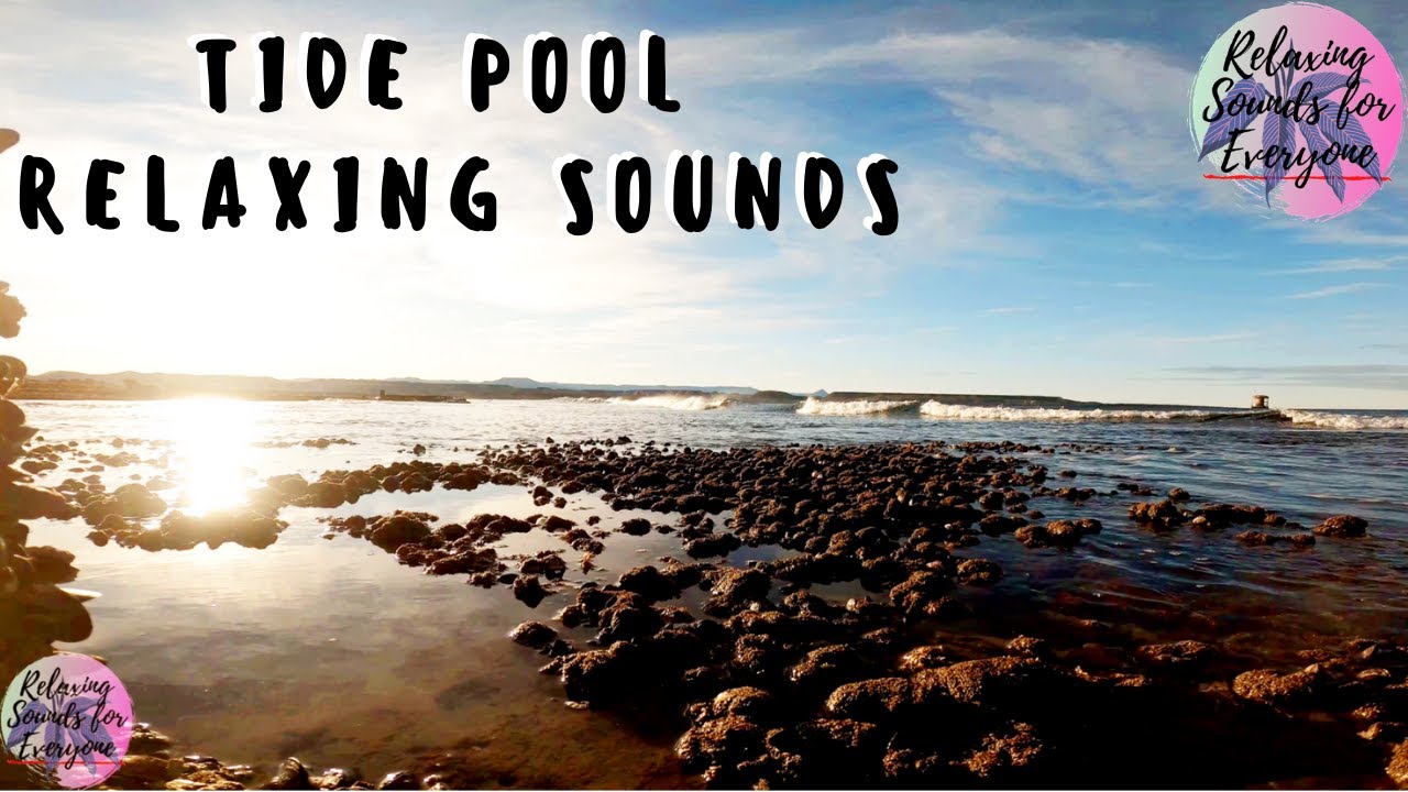 Ocean ASMR At The Tide Pool Patagonia Soundscape
