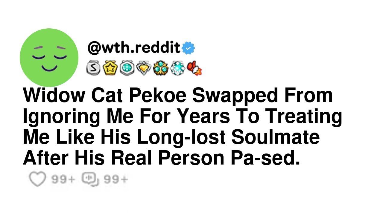 Widow Cat Pekoe Swapped From Ignoring Me For Years To Treating Me Like His Long lost Soulmate Aft...