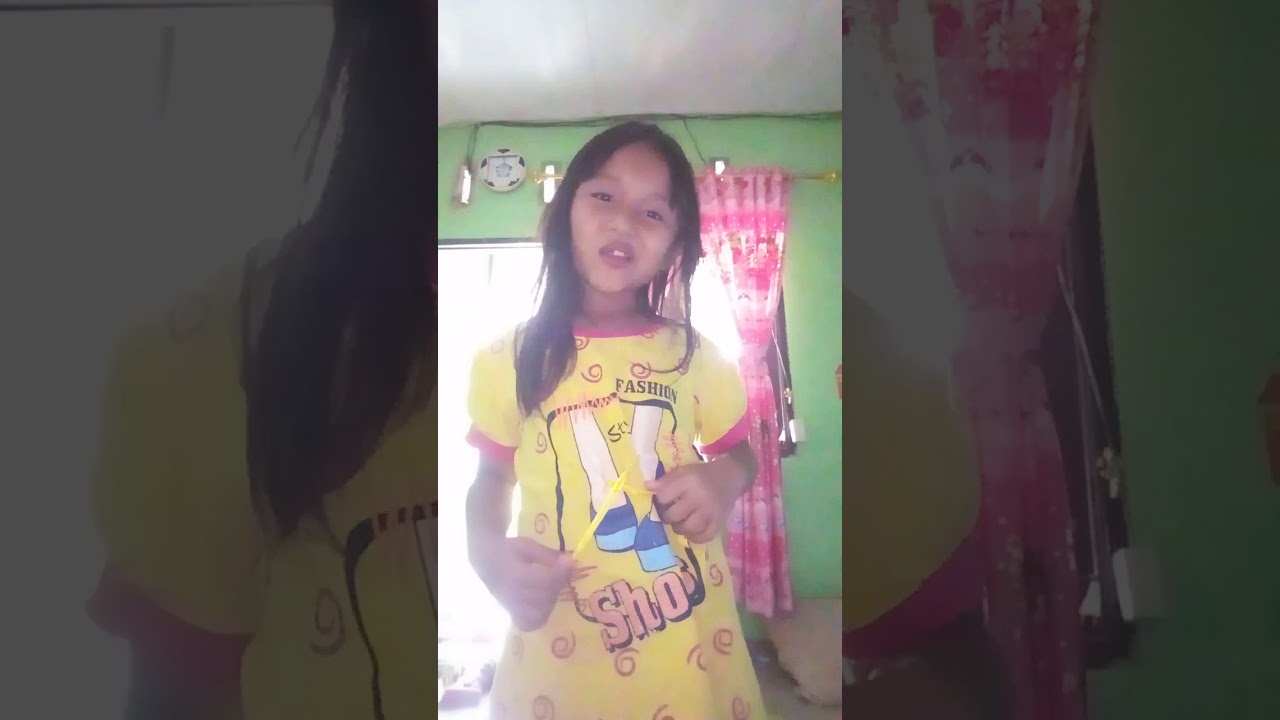 Cara menanam bunga dan membesarkan bunga 