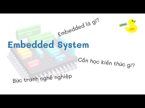 Video: Hệ thống ADP là gì?