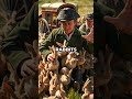 Napoleon’s Epic Defeat: Overrun by an Army of Bunnies! 🐇⚔️