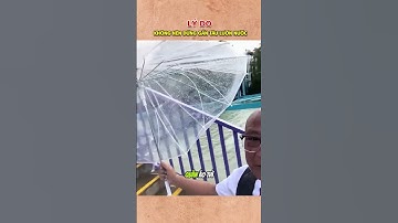 Cho dù ướt cả người nhưng may anh vẫn không "ướt tóc"