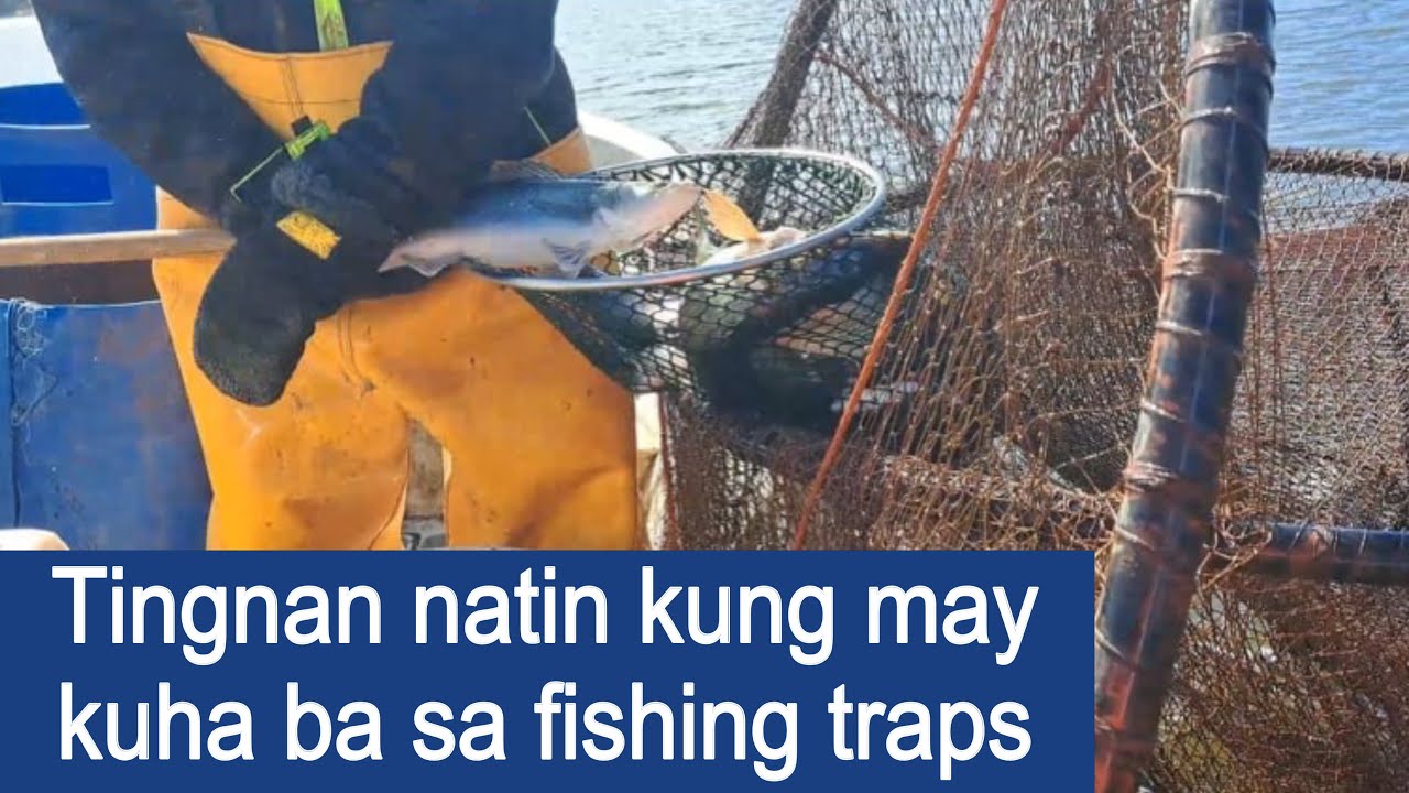 Fishing time in the fishing traps || Pinay with foreigner