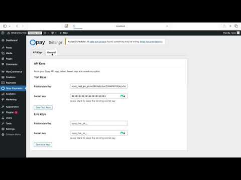 Opay Tutorial #6 | Wordpress Integration