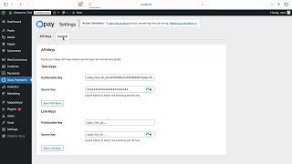 Opay Tutorial #6 | Wordpress Integration
