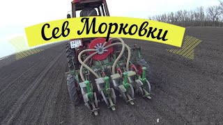 Морковь в Полях От А до Я!