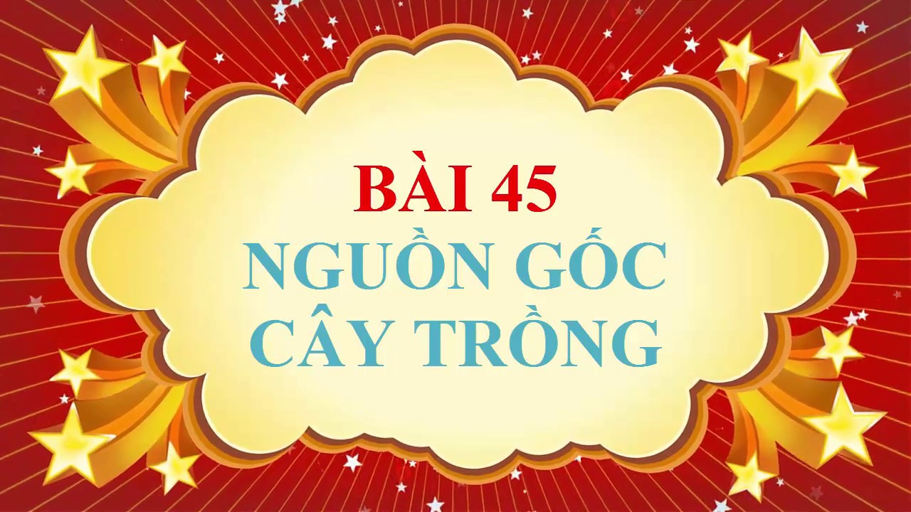 Sách sinh học lớp 6 | Sinh học lớp 6 – Bài 45 – Nguồn gốc cây trồng