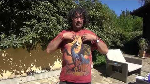 Tracing the Meridians with Shaman Peter Aziz