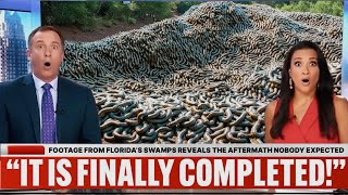 Footage From Florida’s Swamps Reveals the Aftermath Nobody Expected