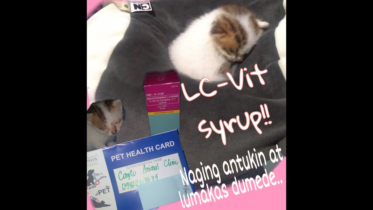 Vitamins for Kittens ( LCVIT SYRUP) YouTube