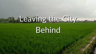 Rainy Walk From Malang City to Quiet Rice Fields | Mindful Walking POV Indonesia
