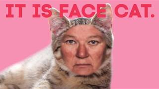 MBMBaM Kinetic Typography - Face Cat and Hand Dog