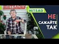 НЕ САЖАЙТЕ ОГУРЦЫ ТАКИМ СПОСОБОМ 🥒 ПОСАДКА ОГУРЦА В КИПЯТОК 🥒 ОГУРЕЦ В ЧАЙНОМ ПАКЕТИКЕ