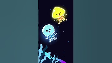 #JunyTony #Shorts | 🌊 A freely swimming marine animal Sea jelly, Jellyfish! #Jellyfish