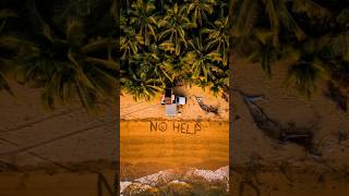 no help, thanks TRACK ID🎶 Léne - Forest Echoes 📸 by retrobulevar #chillyourmind #tropicalchill