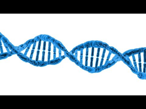 Basic Biochemistry Review
