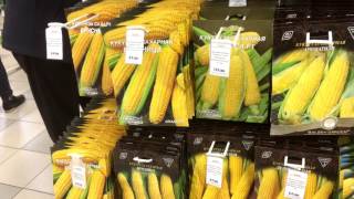 Семена посадка овощи зелень цветы в пакетах Украине стоимость магазин Насіння для посадки Семена посадка овощи зелень цветы в пакетах Украине стоимость магазин Насіння для посадки