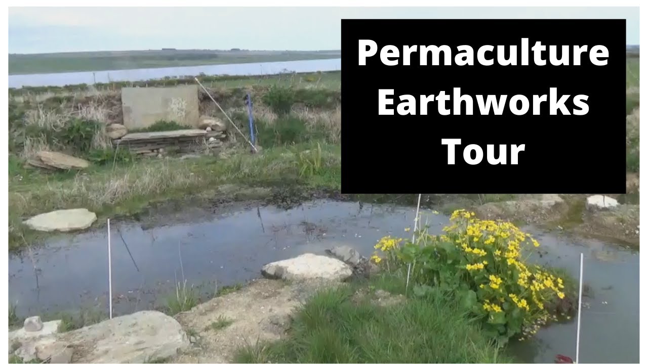 earthworks pond tour