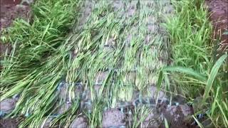Water flowing over the flexible Australian concrete erosion control mat
