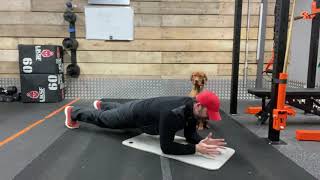 Plank with elbow pull