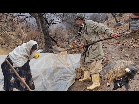 الحياة البدوية في إيران جهود جهانجير لإنقاذ أغنامه من أمطار الشتاء في الجبال