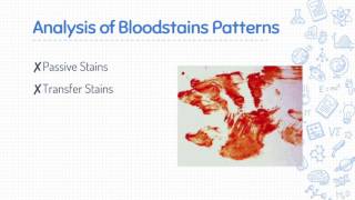 ICT3001 - Lesson 3 Bloodstains Patterns Analysis