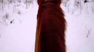 DSCN2151.AVI