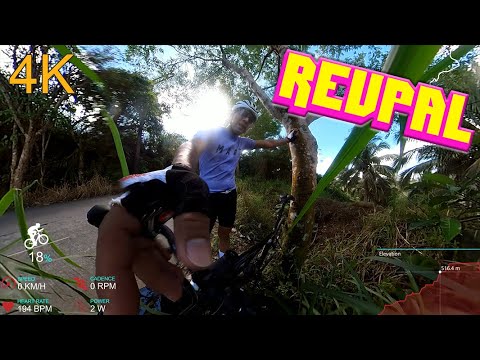 First time REVPAL