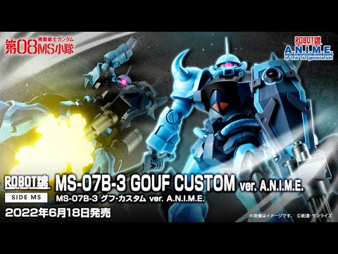 The Robot Spirits ＜SIDE MS＞ MS-07B-3 GOUF CUSTOM ver. A.N.I.M.E.