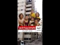 The Lawyer For Ryan Accused Of Killing His Mother And Siblings In Karmouz Alexandria Reveals 