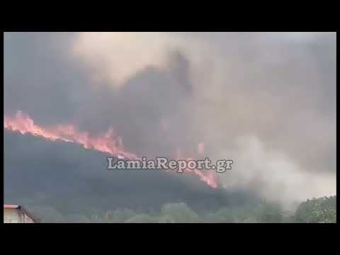 LamiaReport.gr: Μεγάλη δασική πυρκαγιά στη Μακρακώμη δίπλα στην εθνική οδό