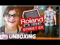 Комплект комбопідсилювачів ROLAND CUBE Street EX PA Pack