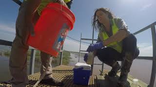 Quality Control - Protecting Savannah's Waterways