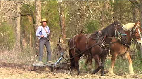 Horse Drawn Disking the Kentucky Land with Titus Morris - OffGrid Living