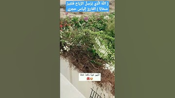 ( اللَّهُ الَّذِي يُرْسِلُ الرِّيَاحَ فَتُثِيرُ سَحَابًا ) القارئ إلياس حجري#المغرب