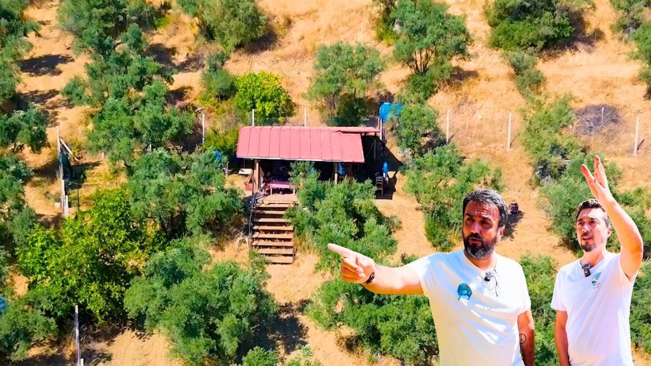 🛖 Kerametli Robinson’un Küçük Evi, Büyük Huzuru | 12 m²’de Hayat