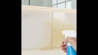 #rabito #tilecleaner #cleaner