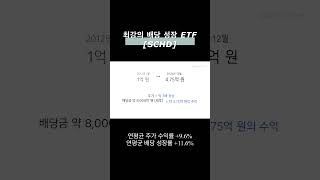 슈드, SCHD에 12년 전 1억 원을 투자했다면 #슈드 #SCHD #SCHD배당금